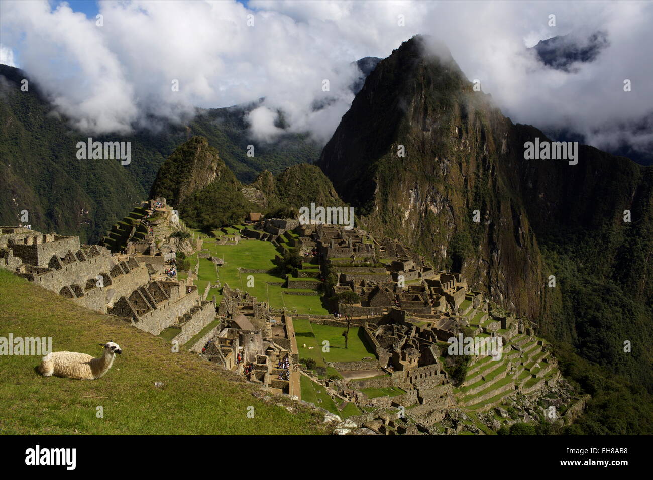 Vue sur le Machu Picchu, Site du patrimoine mondial de l'UNESCO, la Vallée Sacrée, le Pérou, Amérique du Sud Banque D'Images