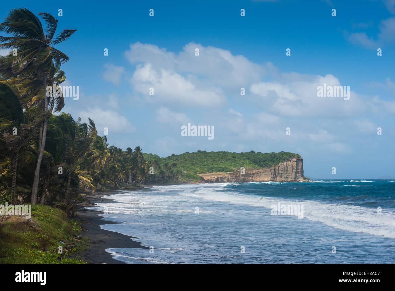 Antoine Bay, dans le nord de Grenade, Îles du Vent, Antilles, Caraïbes, Amérique Centrale Banque D'Images