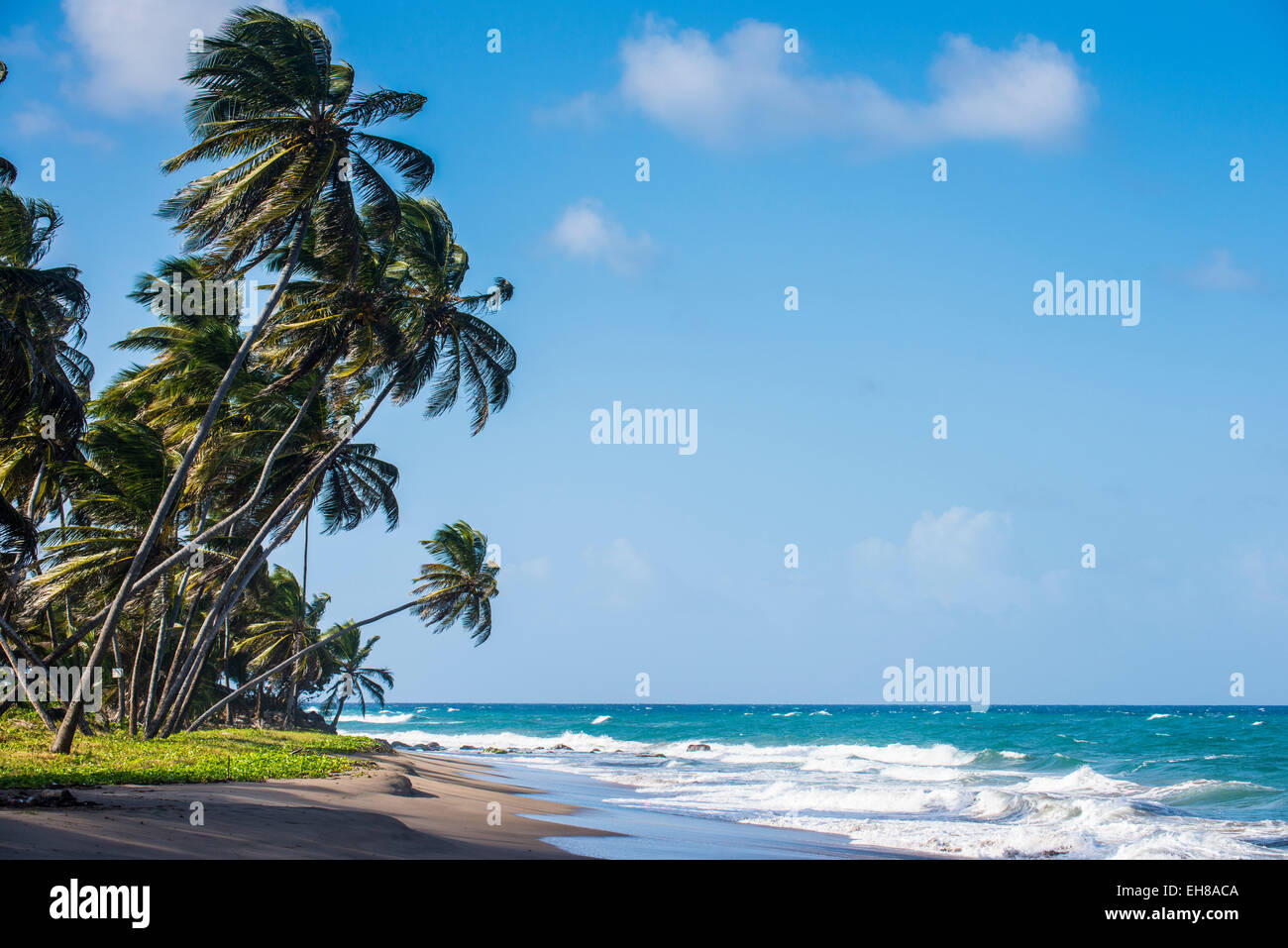 La plage de sauteurs, Grenade, Îles du Vent, Antilles, Caraïbes, Amérique Centrale Banque D'Images