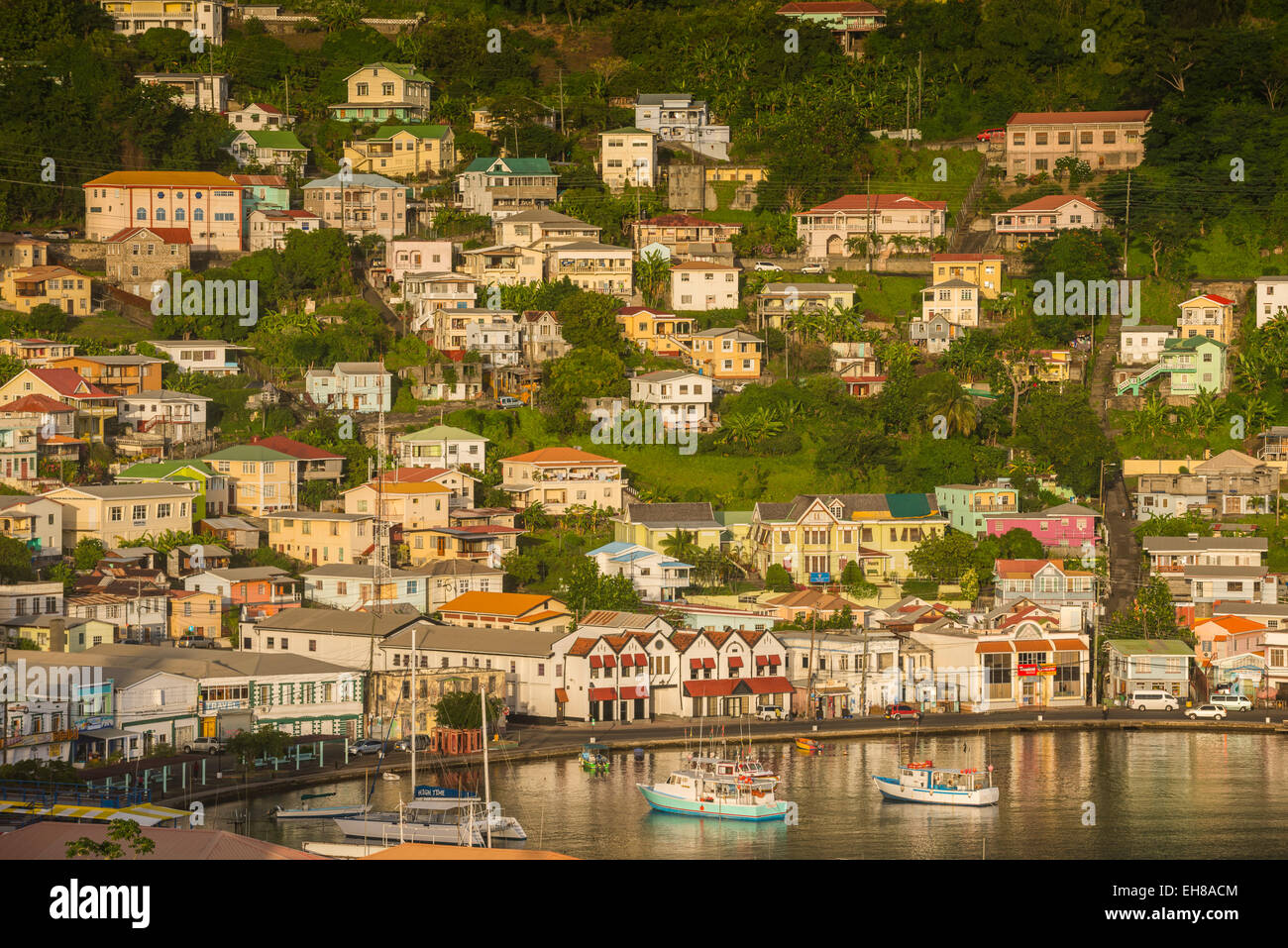 Vue sur St Georges, la capitale de la Grenade, Îles du Vent, Antilles, Caraïbes, Amérique Centrale Banque D'Images