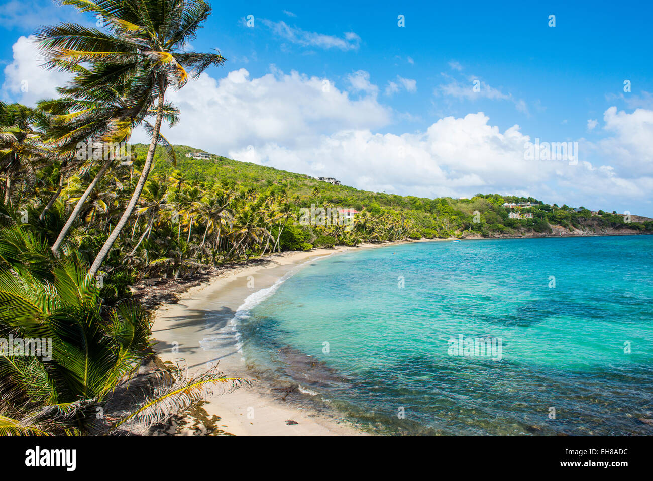 Plage de sable fin sur la baie de l'industrie, Bequia, les Grenadines, Saint Vincent et les Grenadines, îles du Vent, Antilles, Caraïbes Banque D'Images