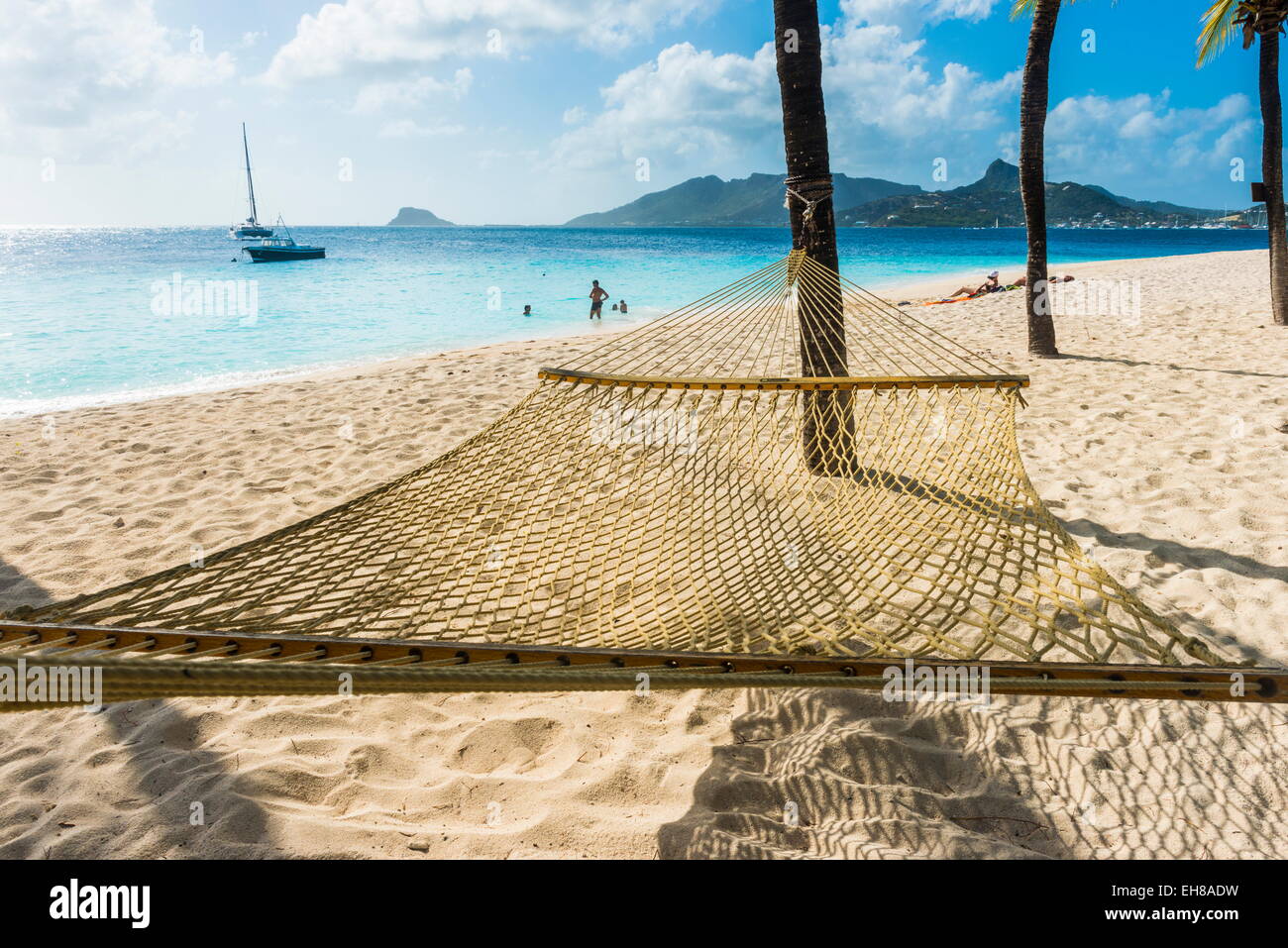 Hamac entre deux palmiers sur une plage de sable fin, Palm Island, les Grenadines, îles du Vent, Antilles, Caraïbes Banque D'Images