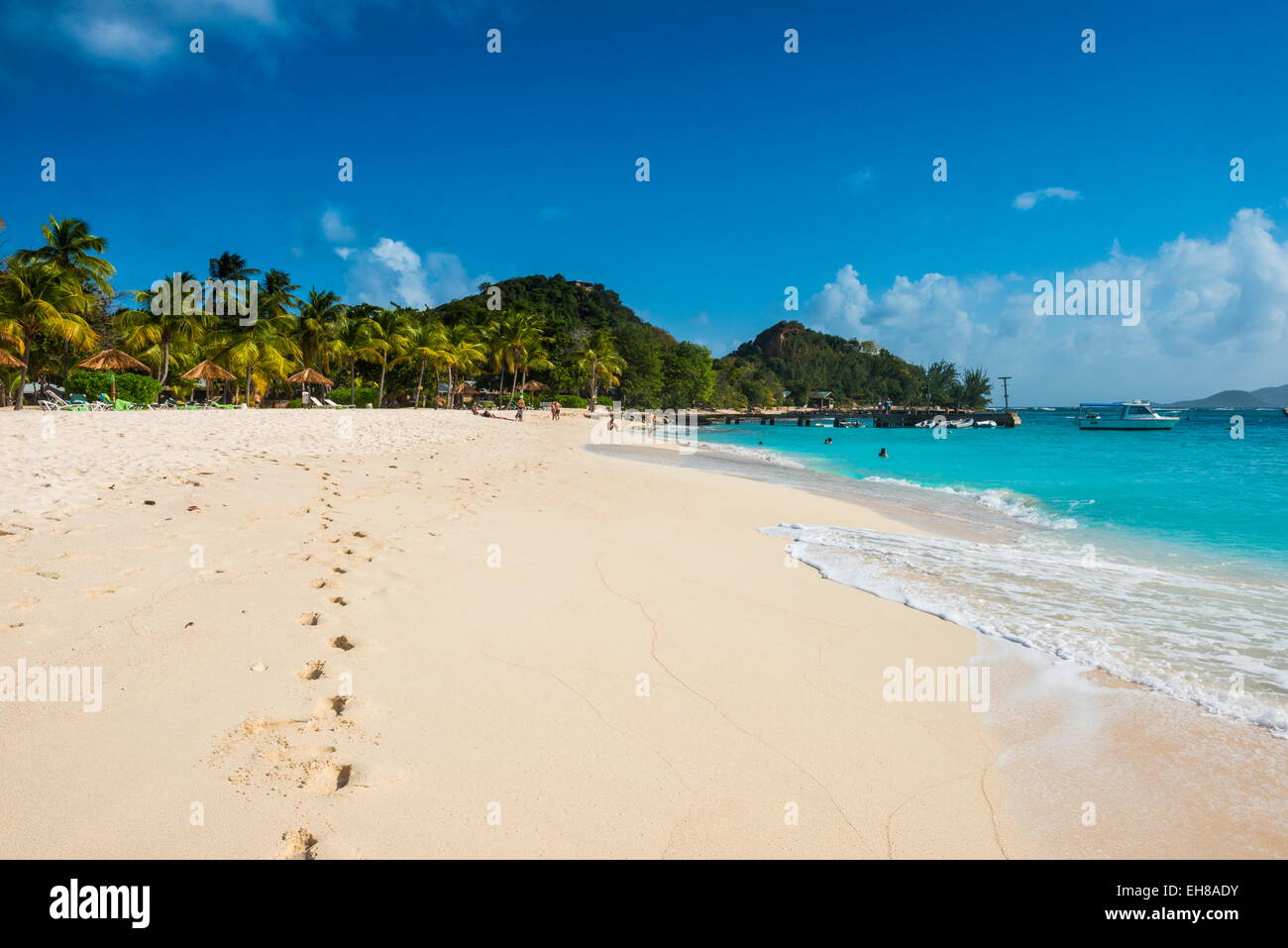 Plage de sable blanc bordée de cocotiers sur Palm Island, les Grenadines, îles du Vent, Antilles, Caraïbes Banque D'Images