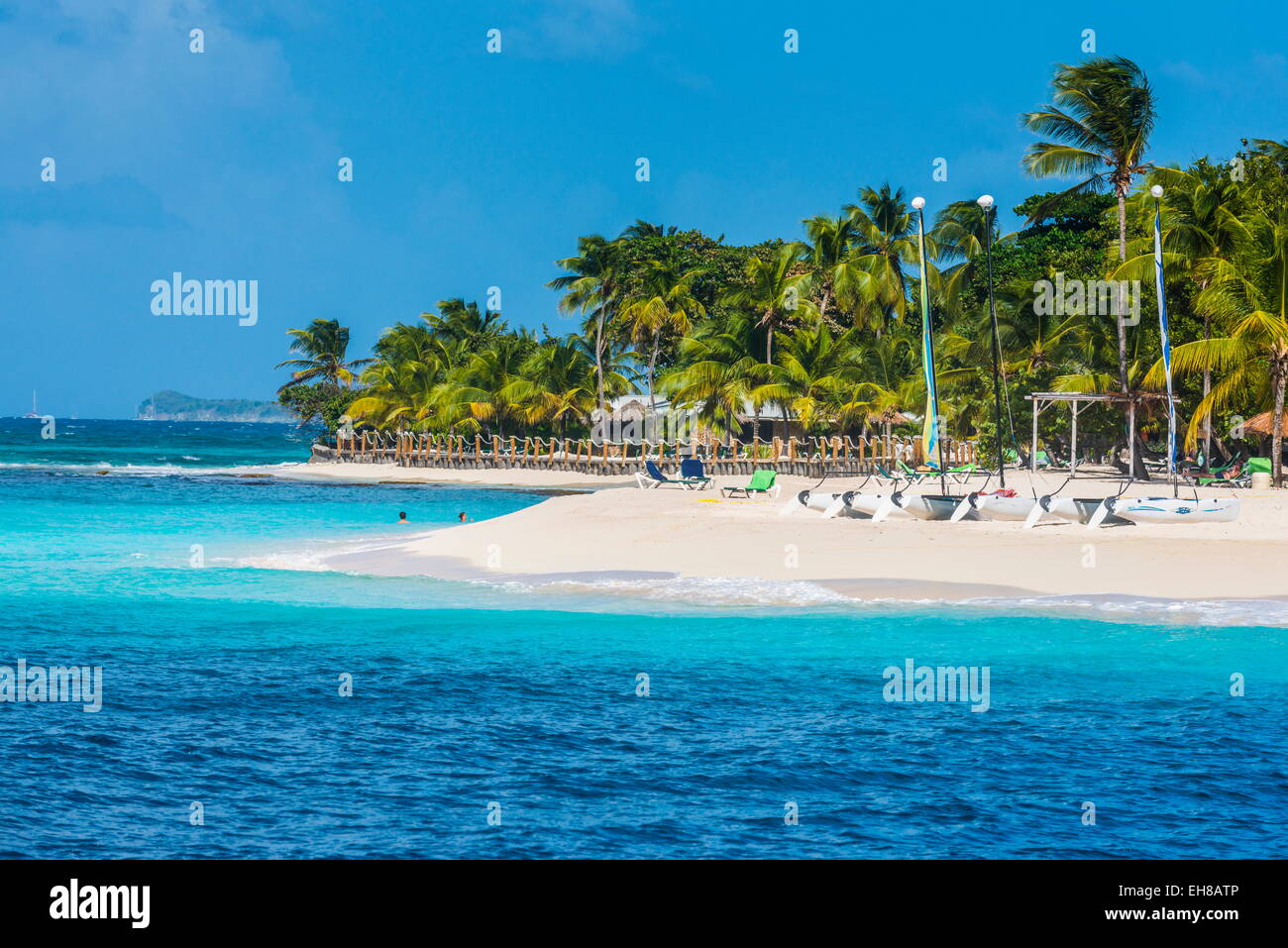 Catamarans sur une belle plage de sable blanc bordée de cocotiers sur Palm Island, les Grenadines, îles du Vent, Antilles, Caraïbes Banque D'Images