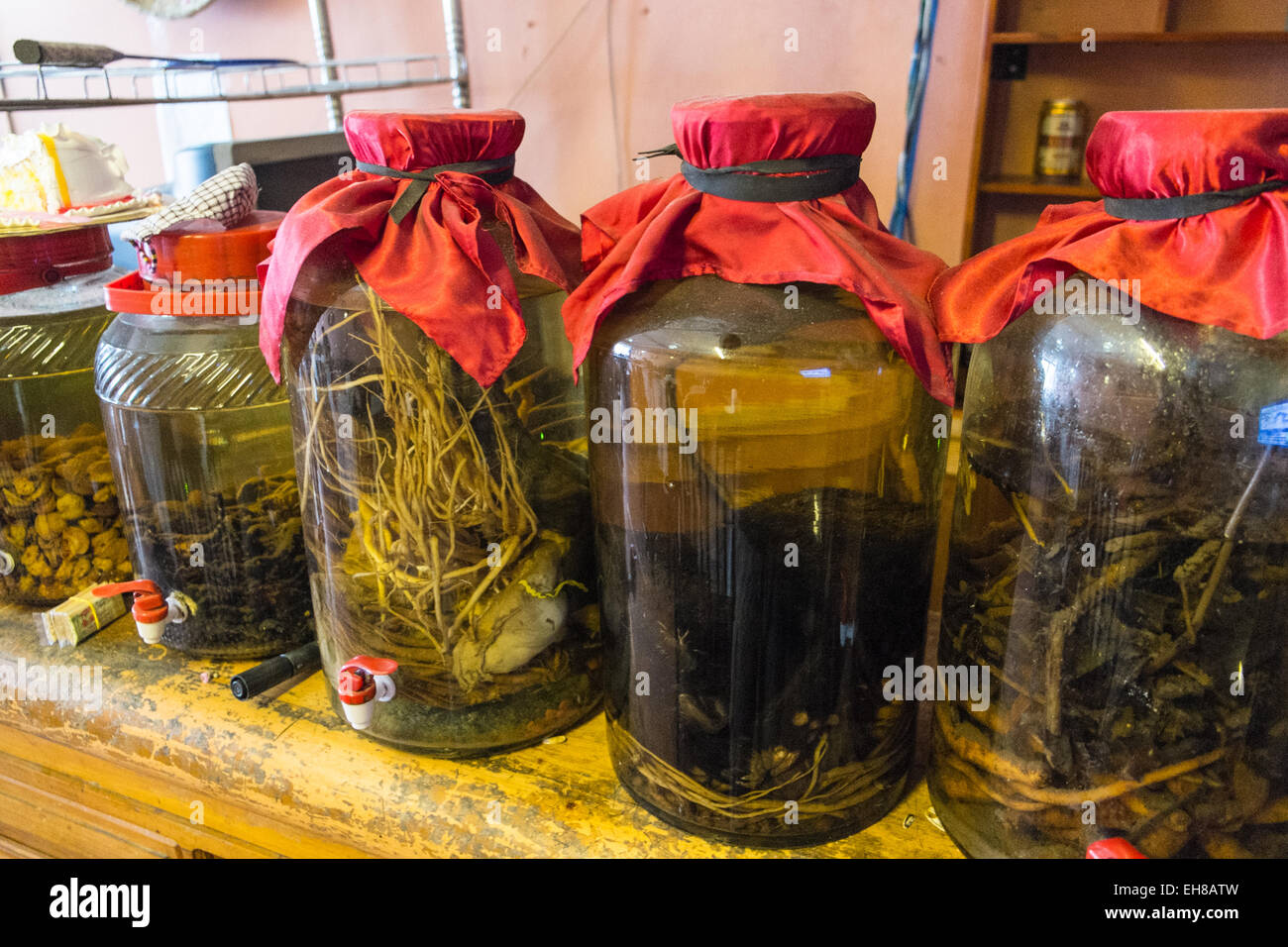 Les pots d'herbes médicinales en boissons restaurant à Sa Pa,Sapa, hill, Ville, Vietnam, Banque D'Images