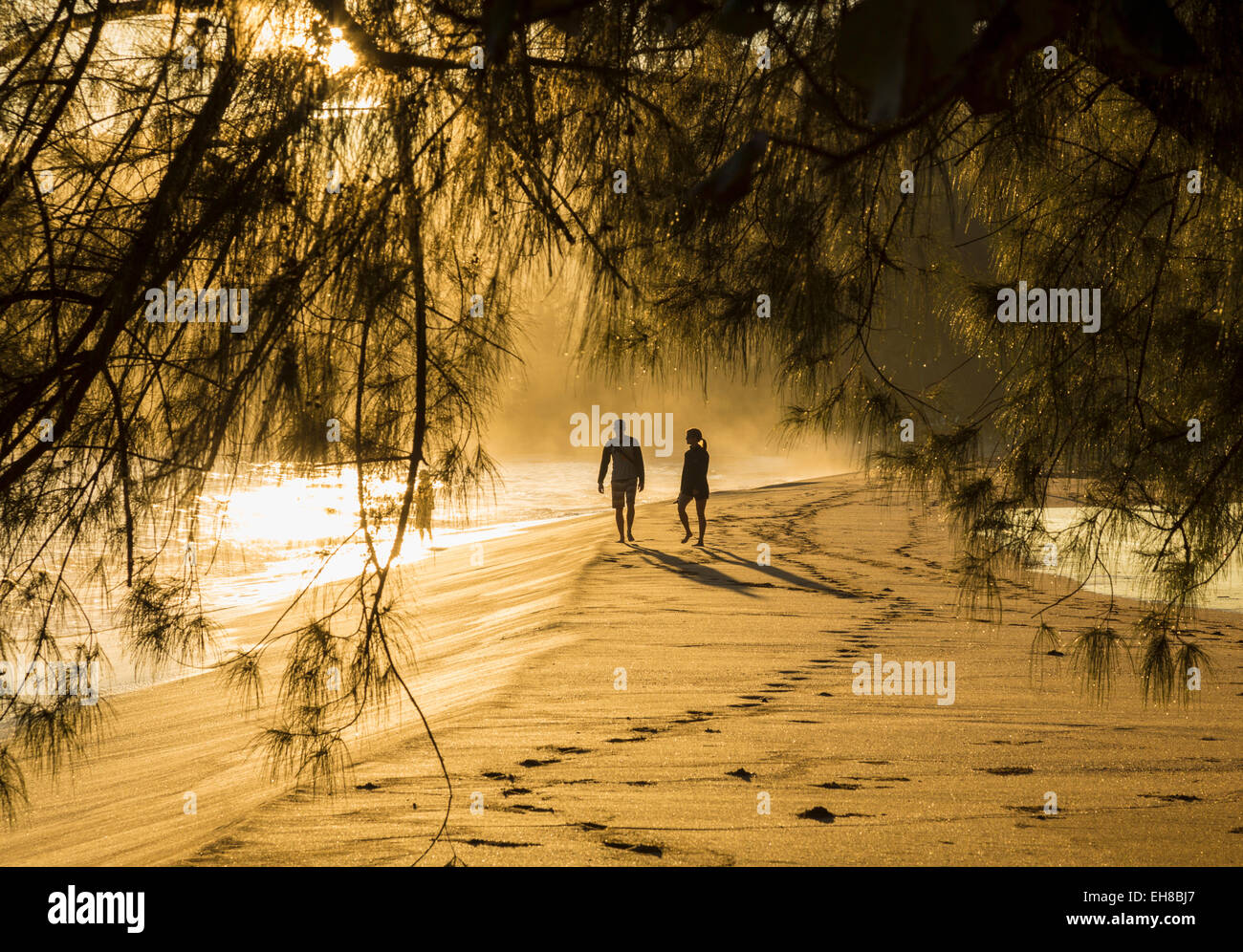 Couple en train de marcher le long d'une plage hawaïenne à l'aube avec la lumière du soleil à travers feuilles dappling Banque D'Images