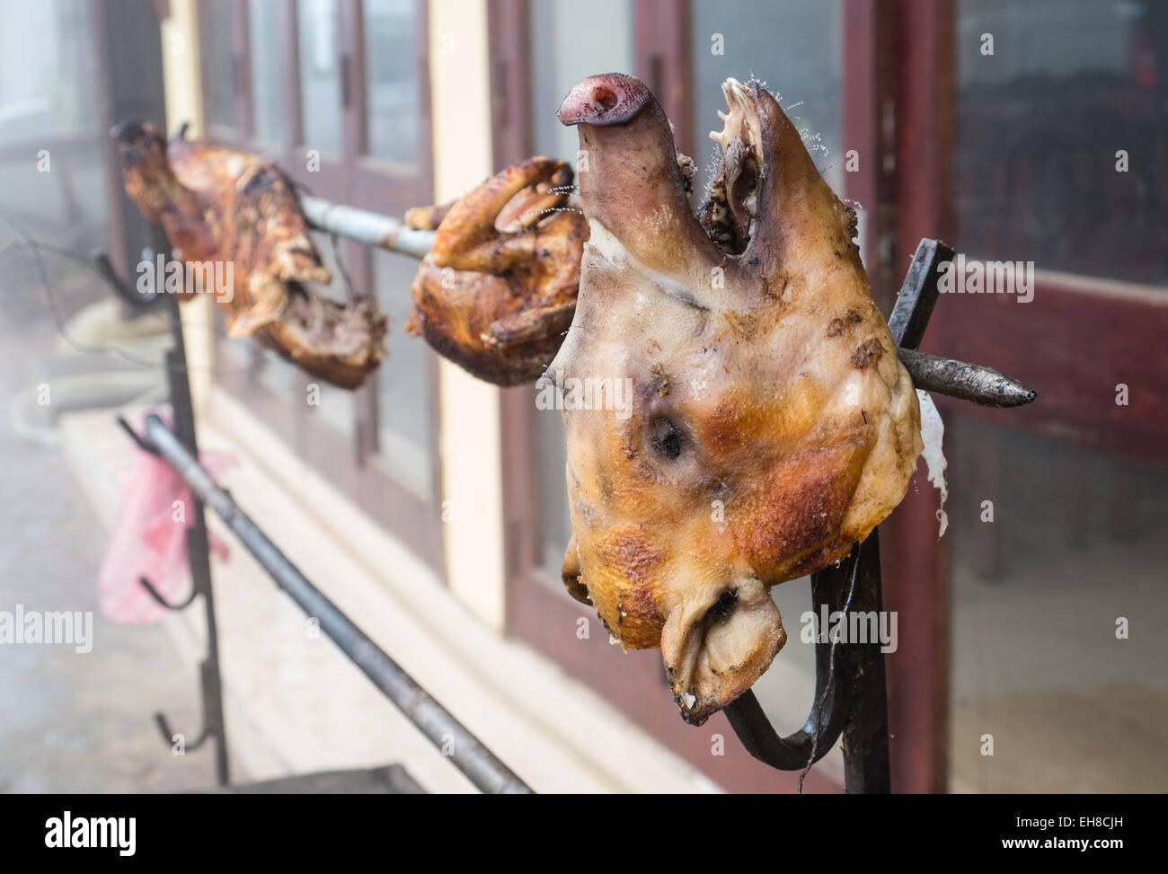 Tête de cochon,, tournebroche au restaurant à Sa Pa,Sapa, hill, Ville, Vietnam, Banque D'Images