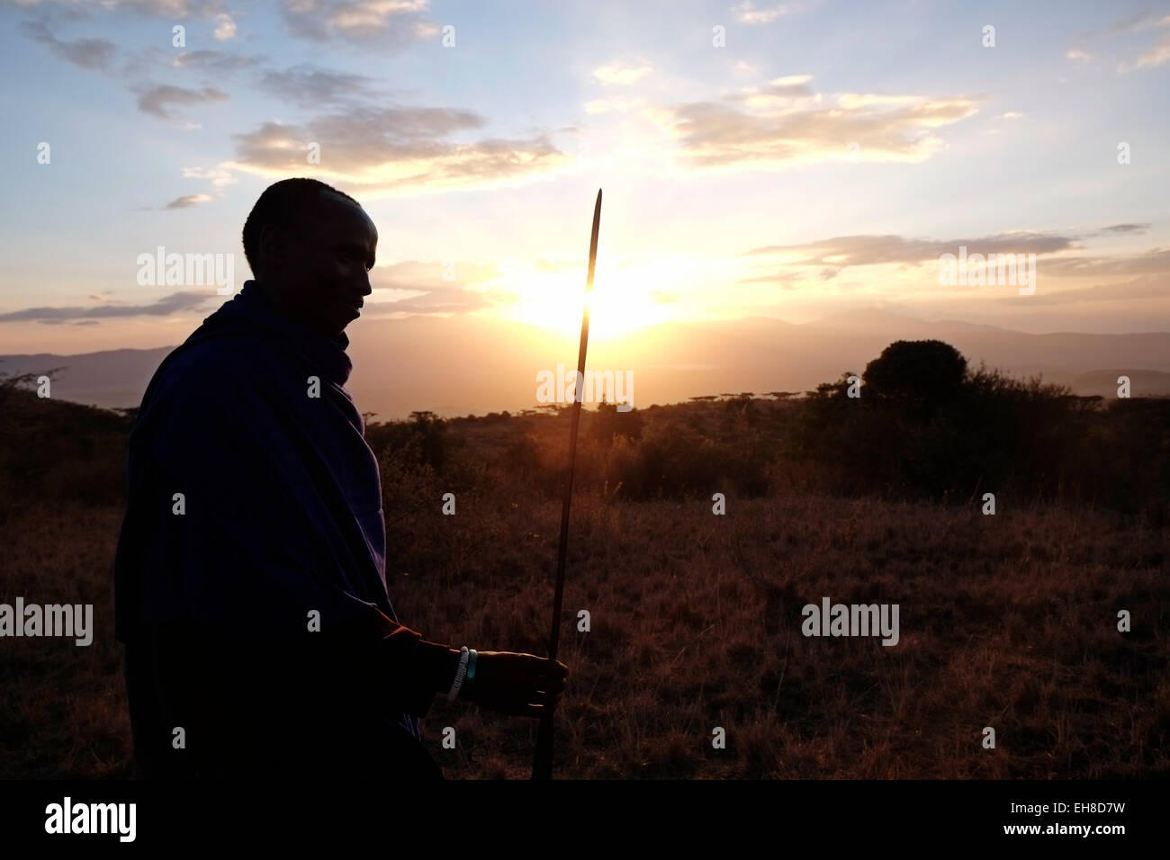 La silhouette du guerrier Massaï tenant une lance dans les plaines de la zone de conservation de Ngorongoro cratère dans la région des hautes terres de Tanzanie Afrique de l'Est Banque D'Images