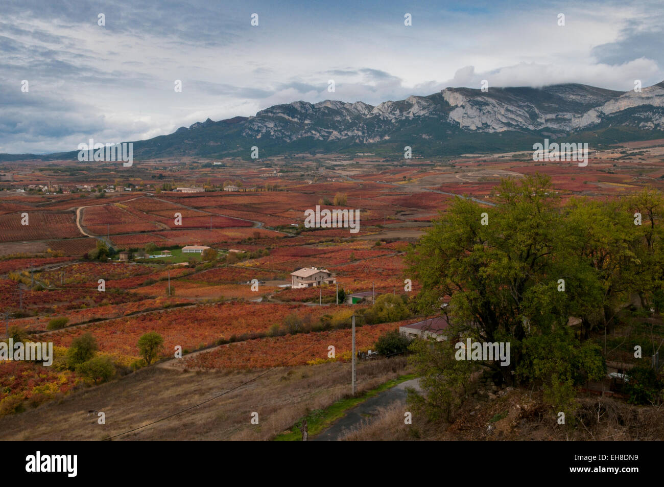 La Rioja Espagne Paysage automne chute Banque D'Images