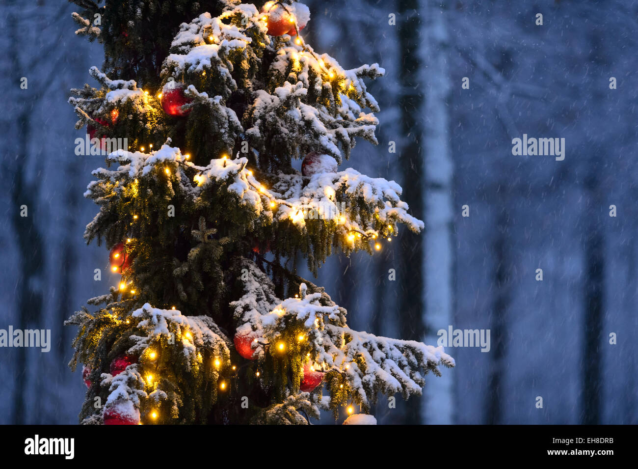 Arbre de Noël blanc avec la neige qui tombe et les lumières et boules Banque D'Images