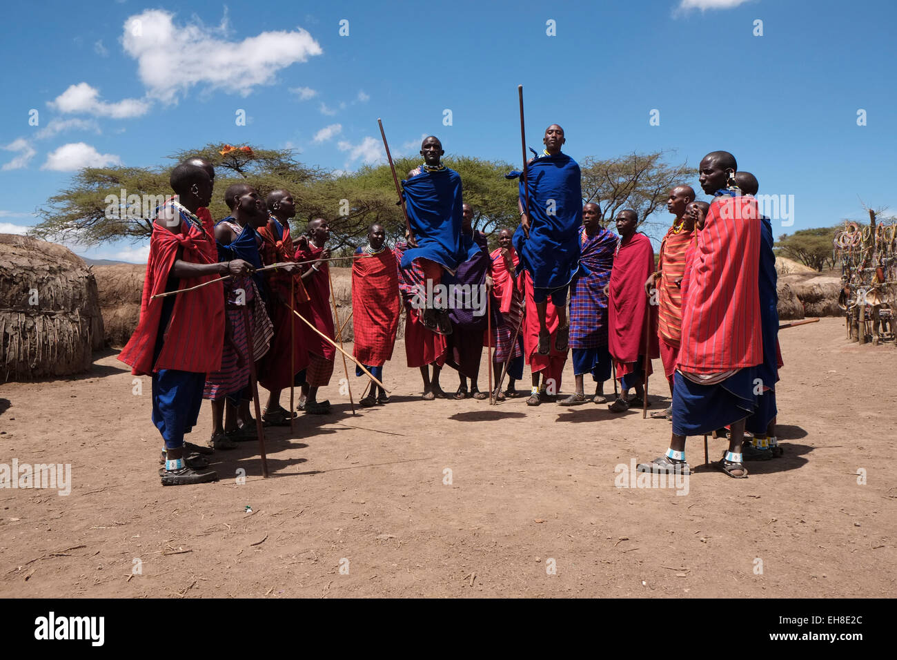 Un groupe d'hommes Massaï participant à la traditionnelle danse Adumu communément appelé Jumping danse exécutée dans une cérémonie de passage à l'âge adulte pour les jeunes guerriers dans la tribu Masaï dans la zone de conservation de Ngorongoro cratère dans la région des hautes terres de Tanzanie Afrique de l'Est Banque D'Images