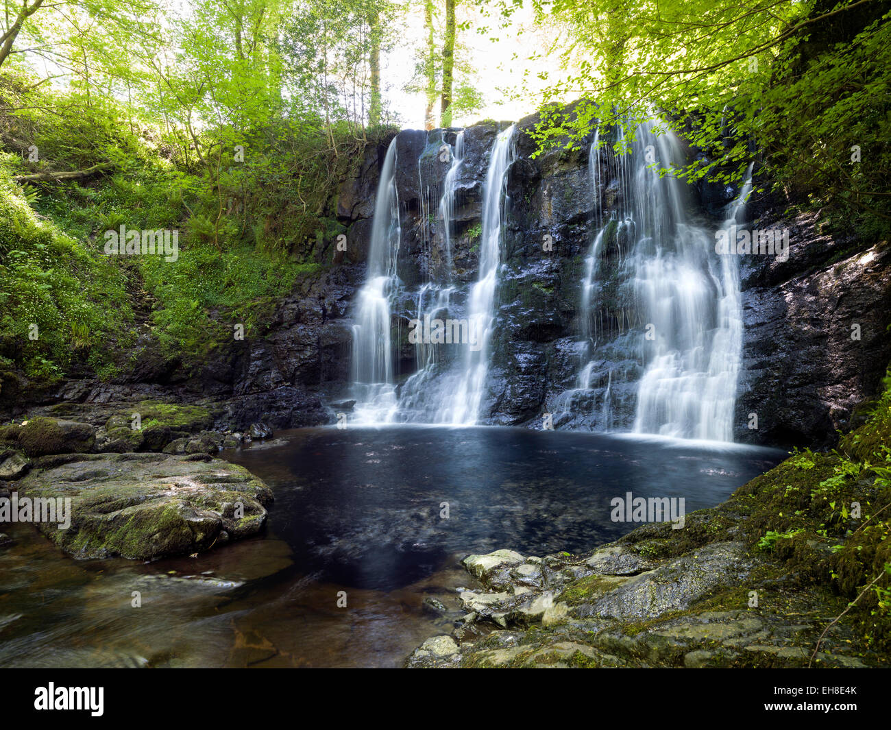 Glenariff Forest Park, Cascade, ,Les Glens d'Antrim, en Irlande du Nord Banque D'Images