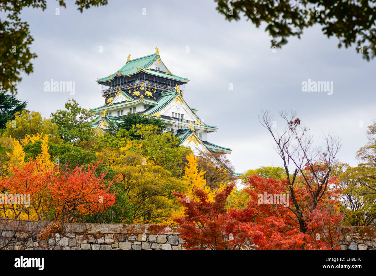 Le Château d'Osaka à l'automne. Banque D'Images