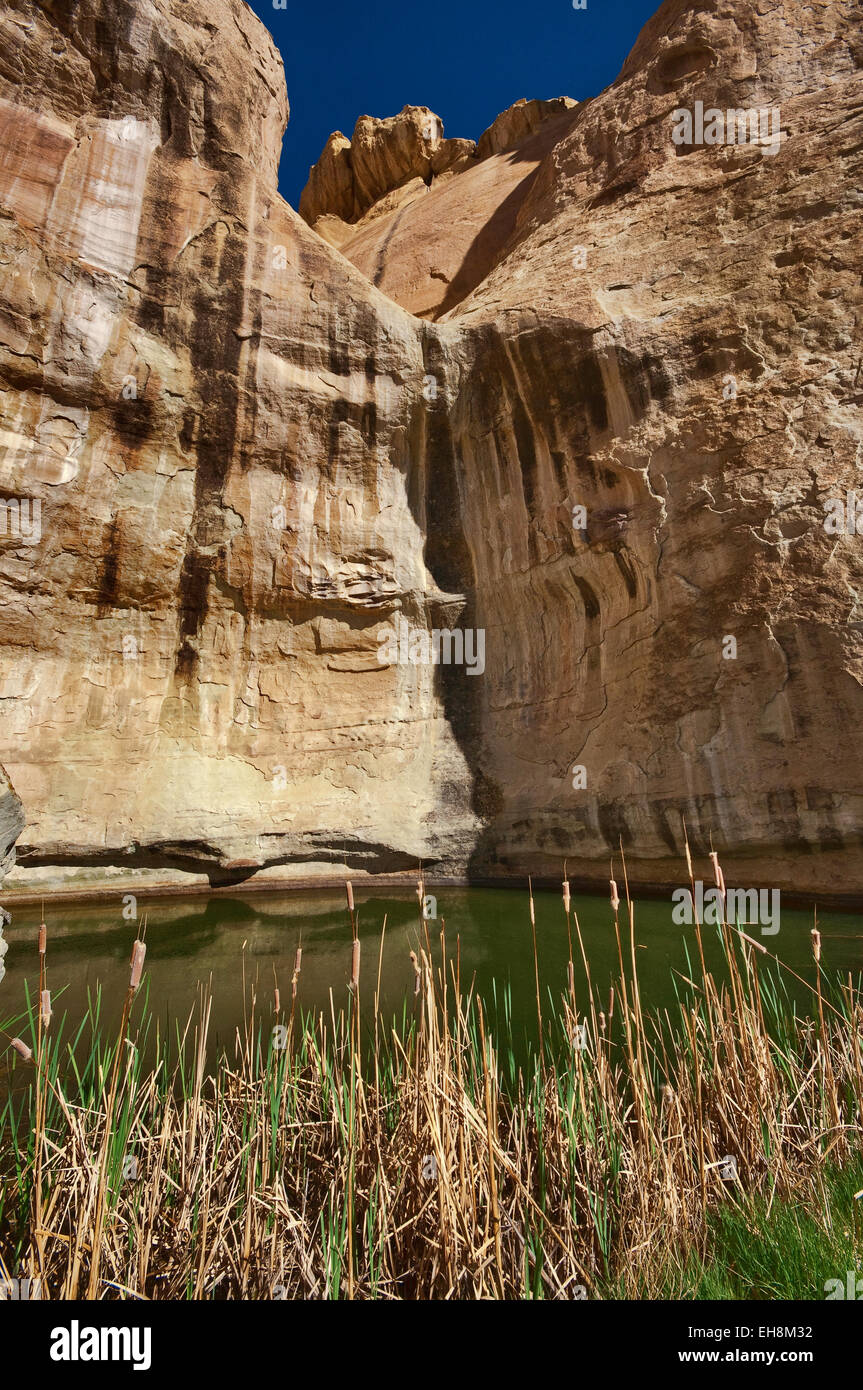 La piscine à l'inscription Trail, El Morro National Monument, New Mexico, USA Banque D'Images