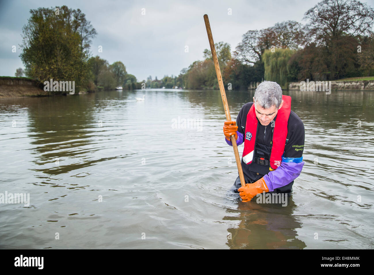 Tim Johns de l'Agence de l'environnement, à la recherche de la crevette dans le Démon Tamise. Banque D'Images