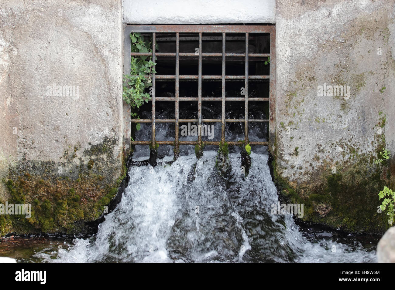 La privatisation de l'eau concept ,printemps fgrating Banque D'Images