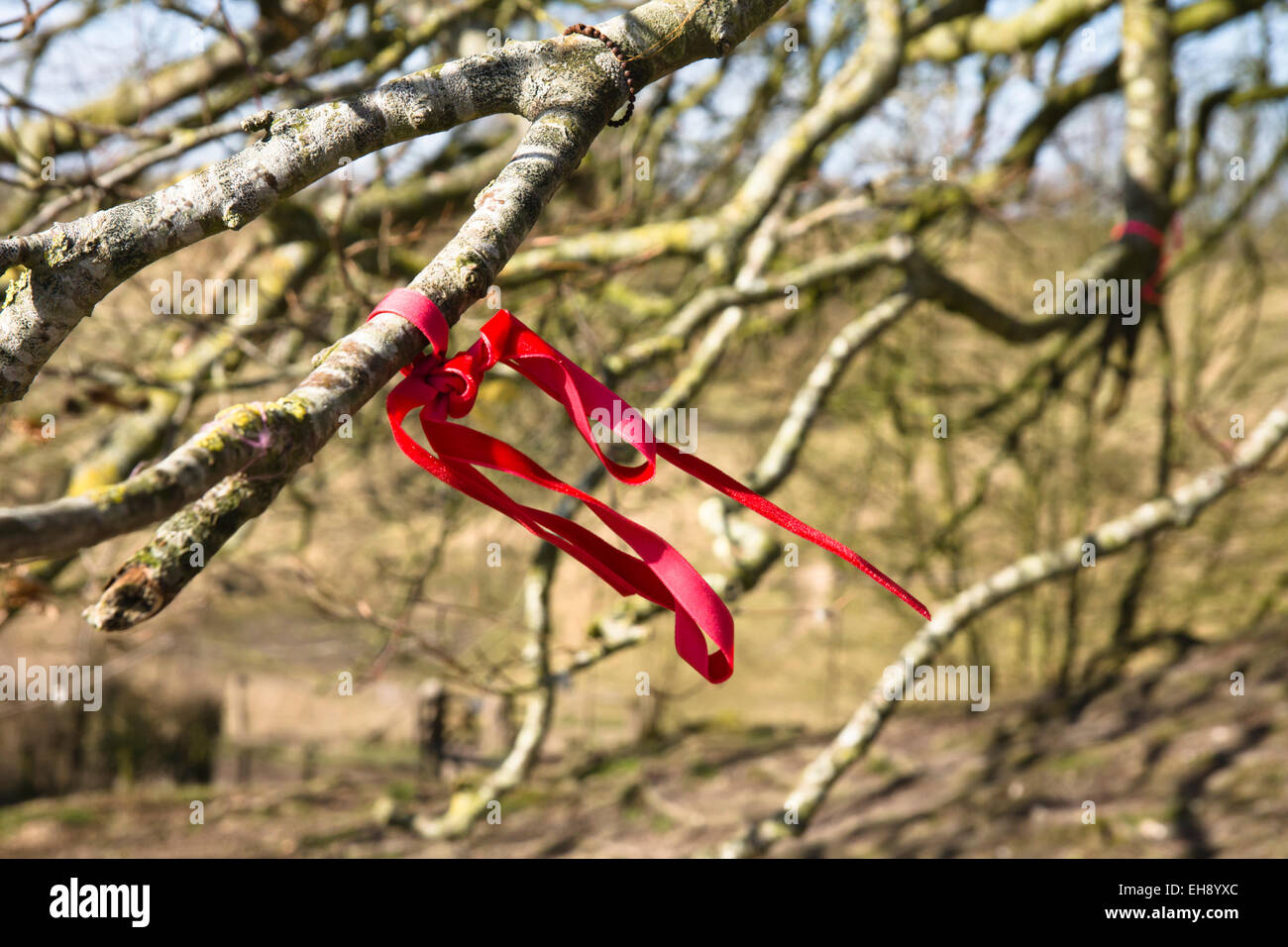 Avebury Wiltshire Angleterre un cercle en pierre comprend ce petit village du Wiltshire un chiffon attaché à un arbre, pour faire un voeu, Banque D'Images