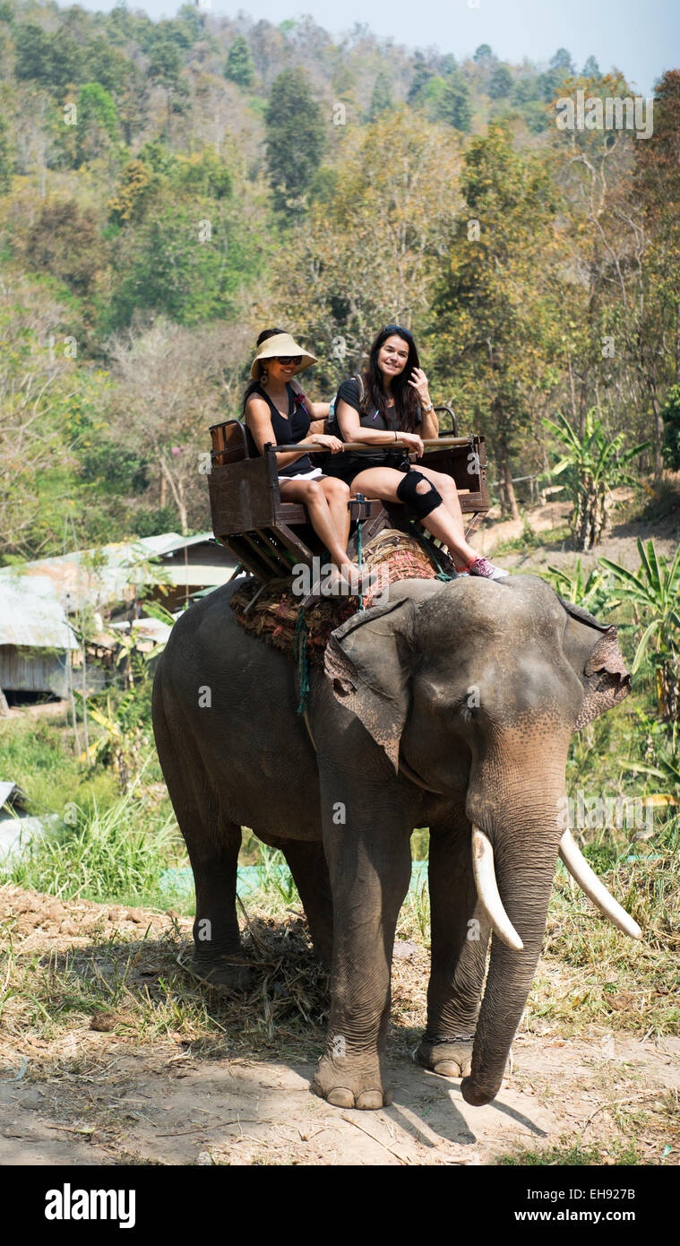 Bénéficiant d'un trajet sur un éléphant thaïlandais à Mae Sa Elephant camp près de Chiang Mai. Banque D'Images