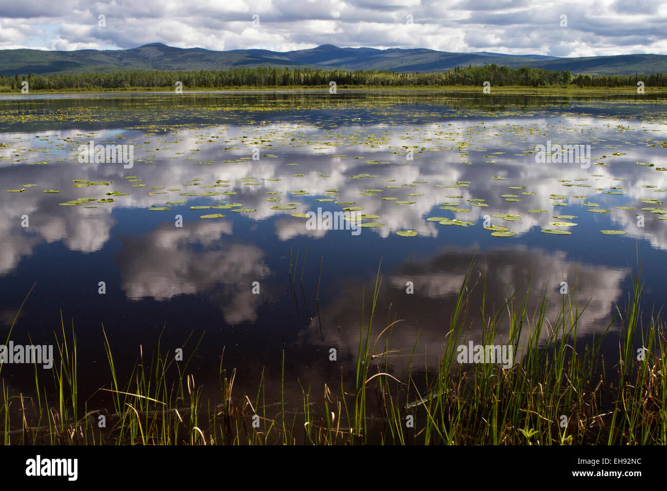 Réflexions Cloud dans le gravier Lake, Territoire du Yukon, Canada Banque D'Images