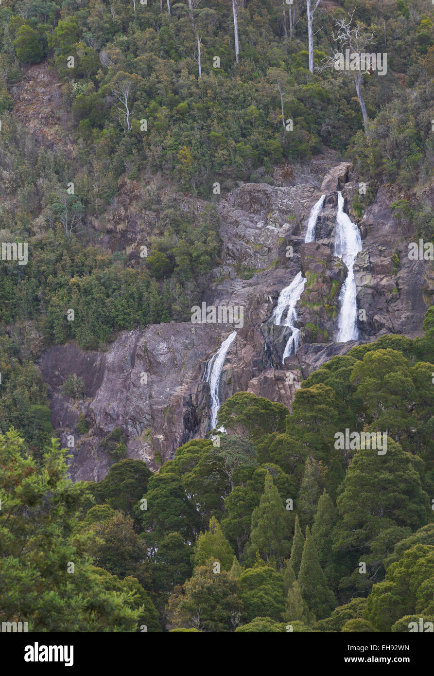 St Columba Falls, Tasmanie, Australie Banque D'Images