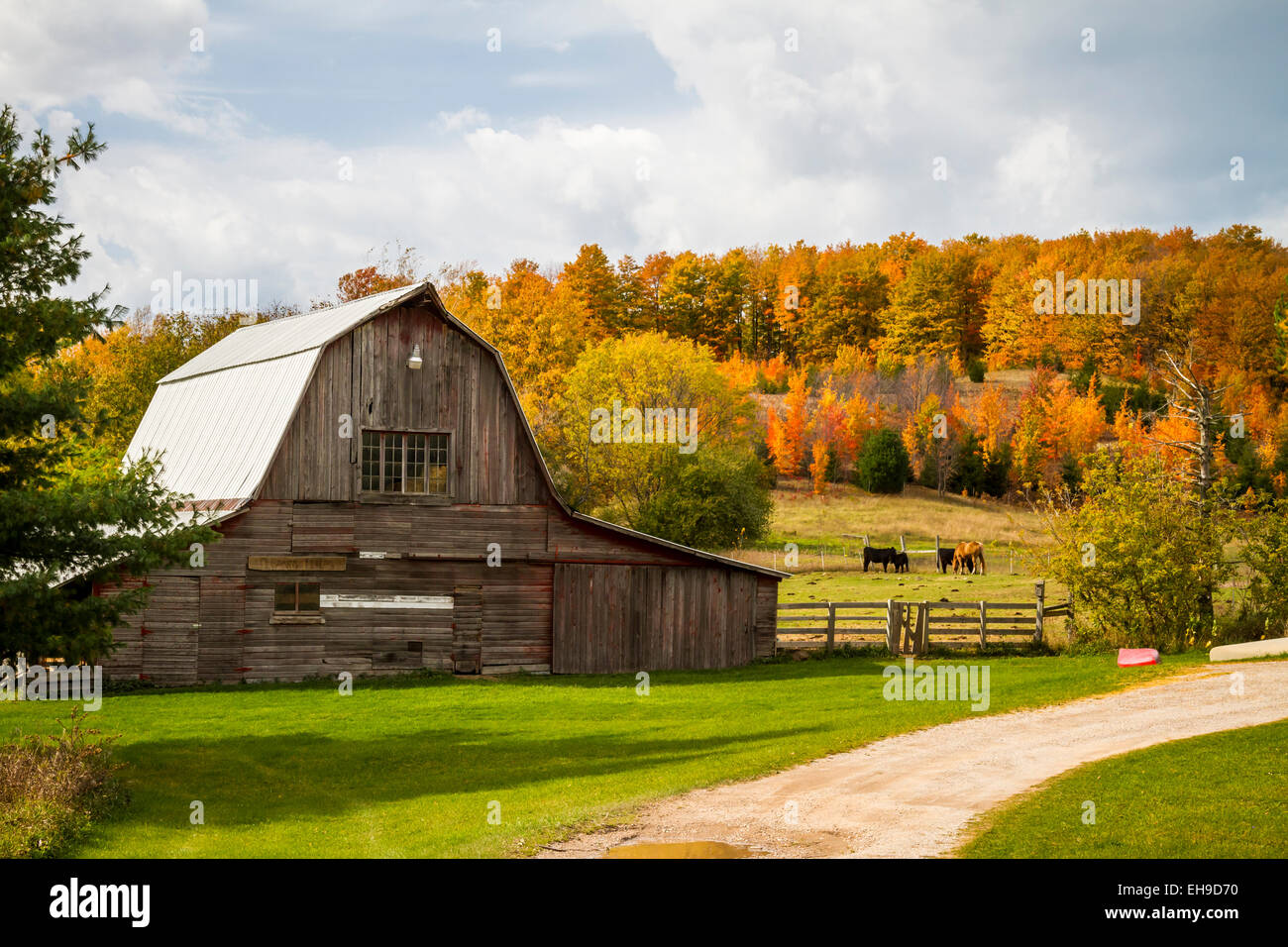 Une ferme grange avec la couleur des feuilles d'automne dans les régions rurales du Wisconsin, USA, Amérique latine. Banque D'Images