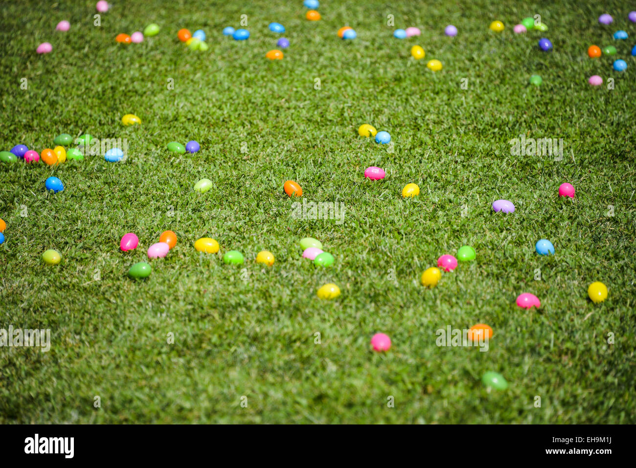 Plusieurs couleurs d'oeufs de pâques en plastique herbe rush rush oeuf fond vert Banque D'Images