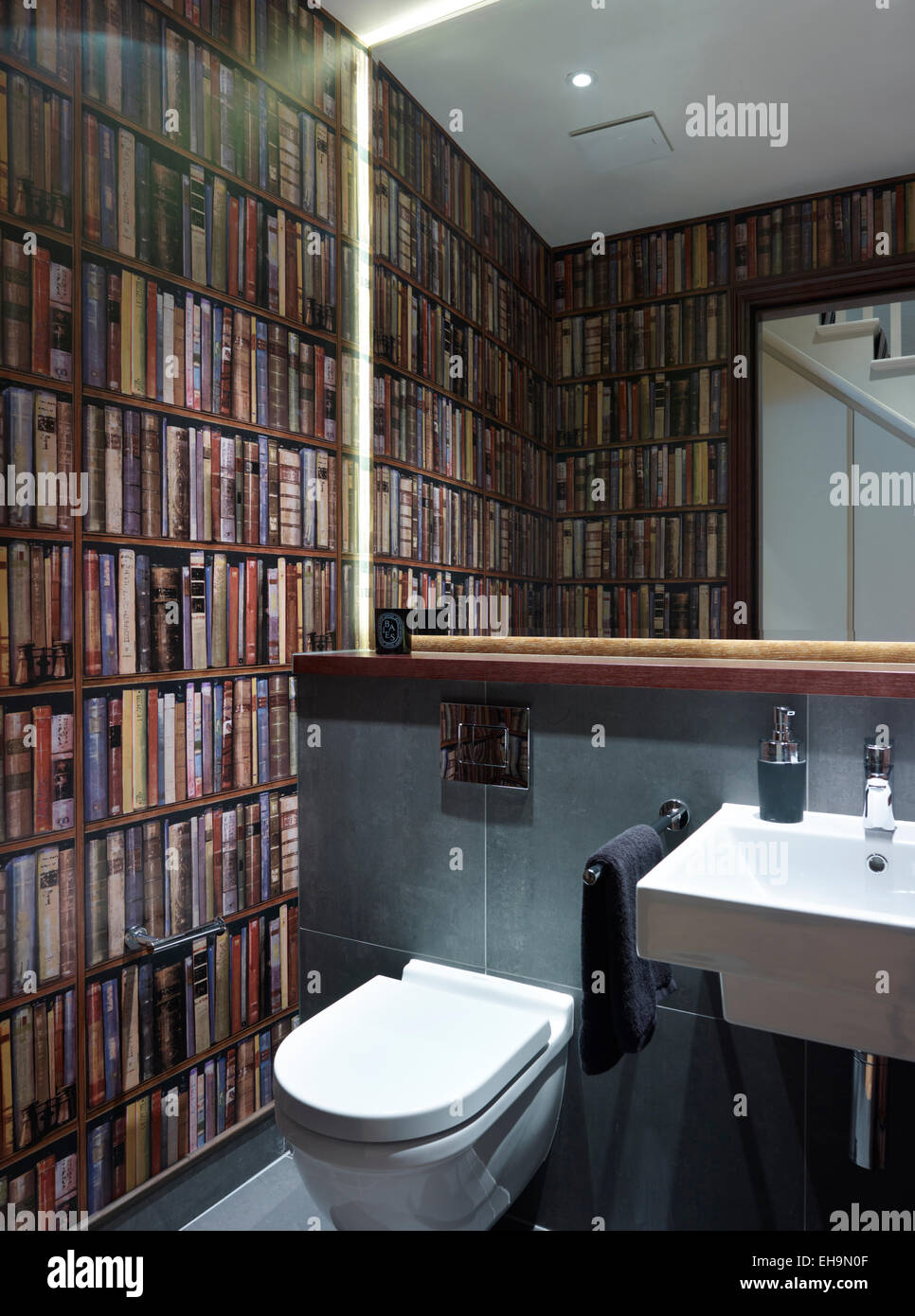 Trompe-l'oeil de bibliothèque dans la salle de bains de Stevenage Road home, UK Banque D'Images