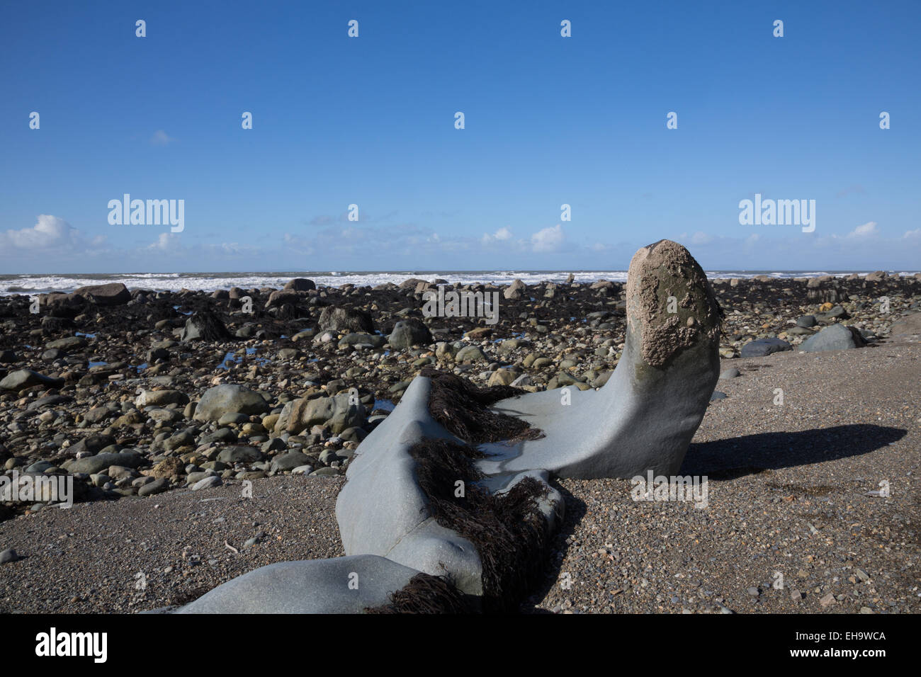 Un rocher dans une forme phallique sur la plage Tonfannau sur la côte nord du Pays de Galles Banque D'Images
