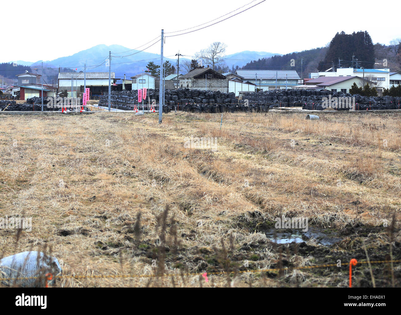 (150310) -- Fukushima, le 10 mars 2015 (Xinhua) -- sacs noirs contenant de l'accumulation de déchets contaminés sont vus dans la ville d'Iitate, préfecture de Fukushima, au Japon, le 7 mars 2015. Les scènes des villes et villages abandonnés encore quatre ans après le séisme qui a déclenché le tsunami a violé les défenses de la centrale nucléaire de Fukushima Daiichi, pourrait contribuer à la toile de fond parfaite pour un film de zombie Hollywood apocalyptiques, mais le problème serait que les niveaux de rayonnement dans la zone serait trop dangereux pour la distribution et l'équipe. Le gouvernement central de la maxime "Tout est l'UEDN Banque D'Images