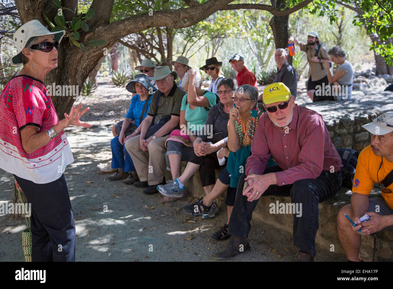 Oaxaca, Mexique - Un guide bénévole parle avec un groupe visite le jardin ethnobotanique d'Oaxaca. Banque D'Images