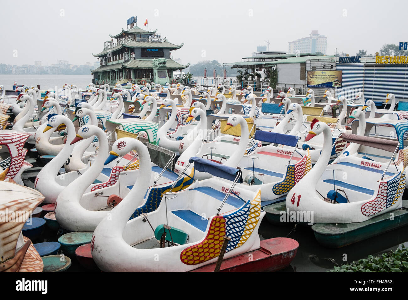 Oiseaux en forme de cygne,pédalo peddle, bateaux sur le lac de l'Ouest, Tay Ho, Ha Noi, Hanoi, Vietnam. Banque D'Images