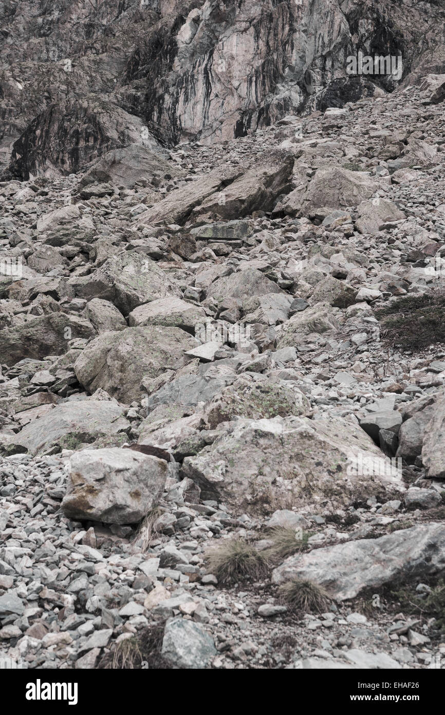 Champ de blocs dans le Parc National des Ecrins, Alpes, avec marmot dans le centre. Banque D'Images