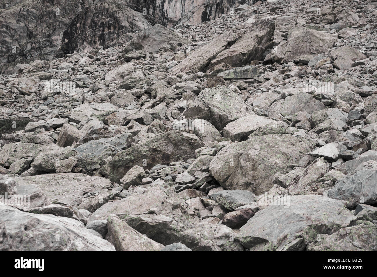 Champ de blocs dans le Parc National des Ecrins, Alpes, avec marmot dans le centre. Banque D'Images