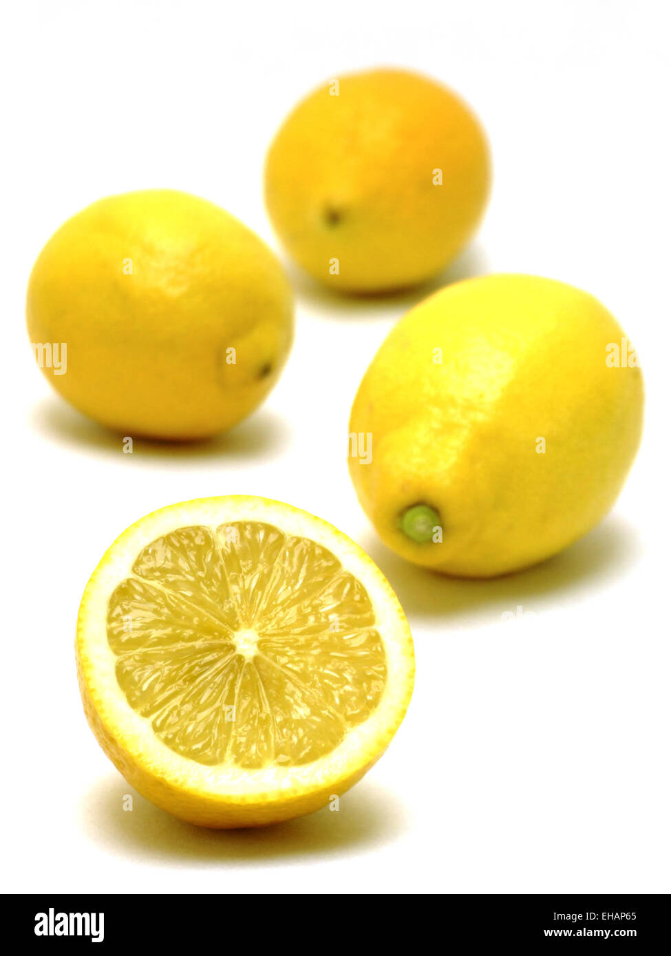 Zitronen / Citrons (Citrus limon) Banque D'Images
