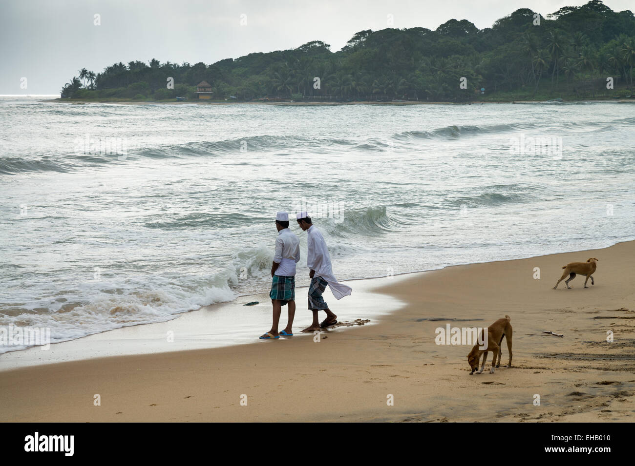 Les plages vides, d'Arugam Bay, au Sri Lanka, en Asie Banque D'Images