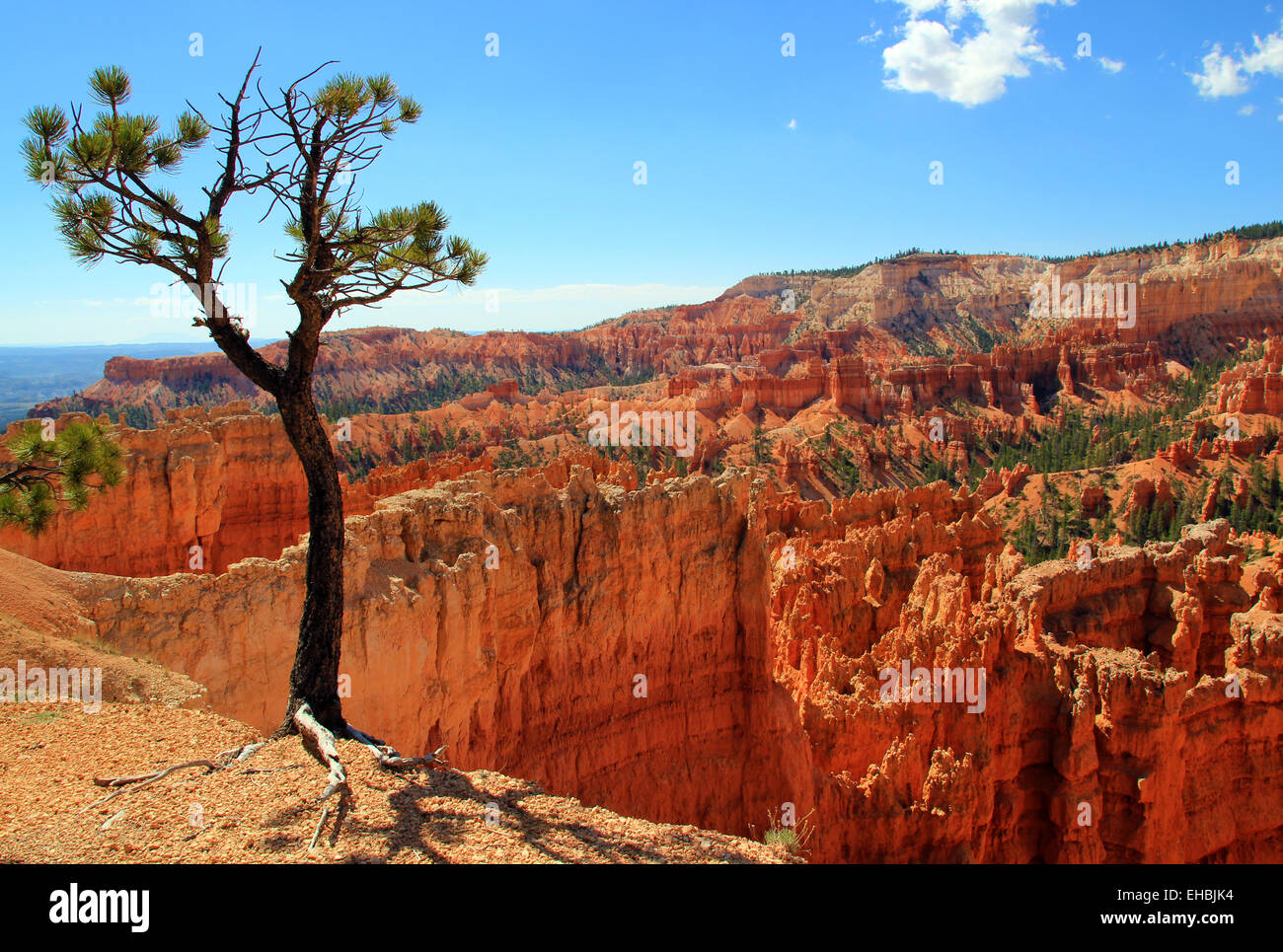 Bryce Canyon Banque D'Images