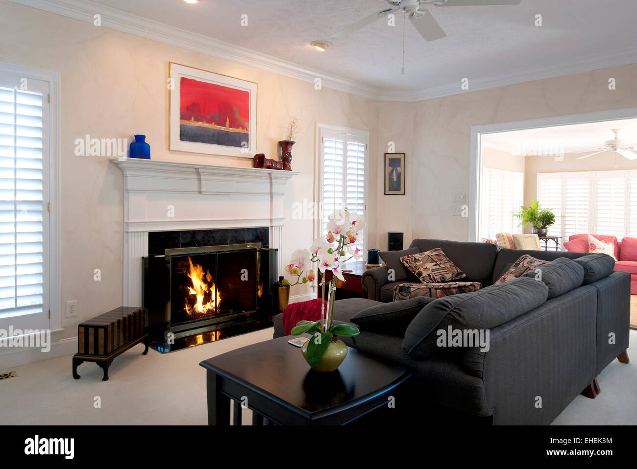 Intérieur résidentiel moderne salon meublé dans une résidence unifamiliale Banque D'Images