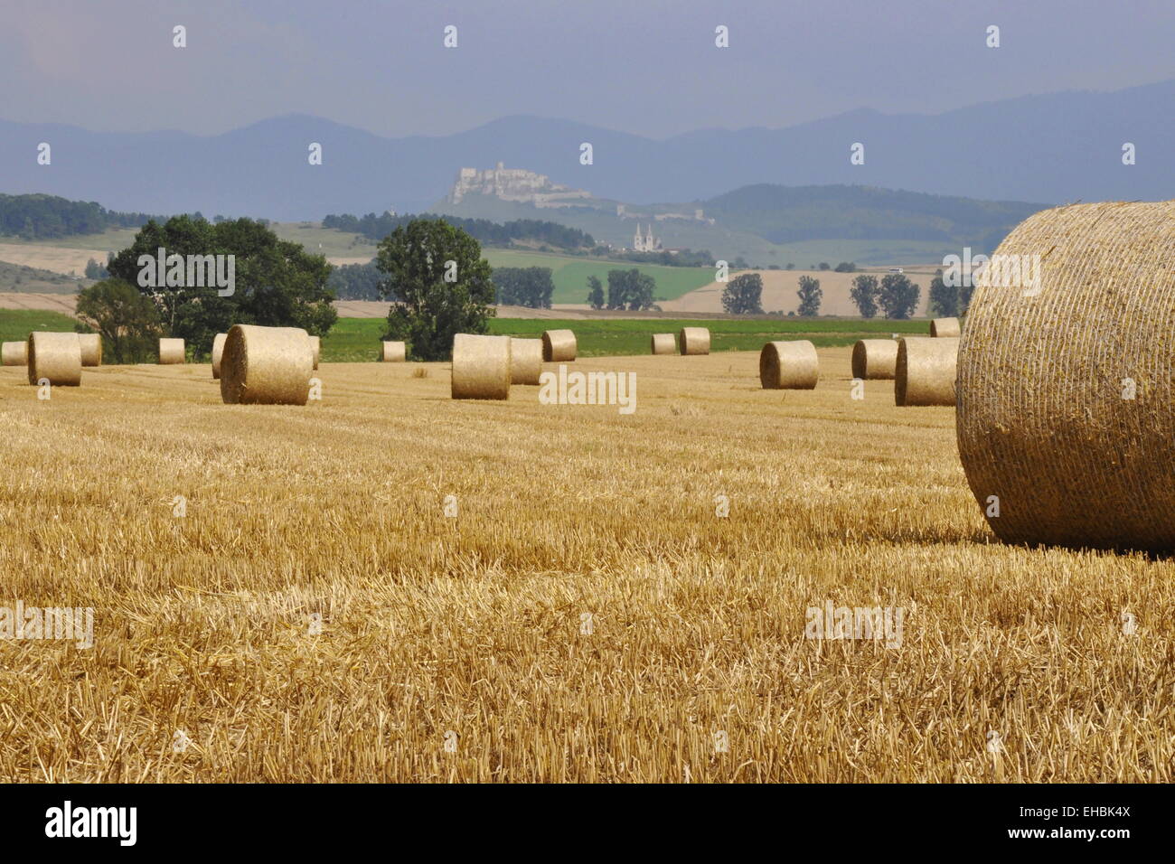 Une récolte d'automne, avec un château historique de Spis en arrière-plan. Banque D'Images