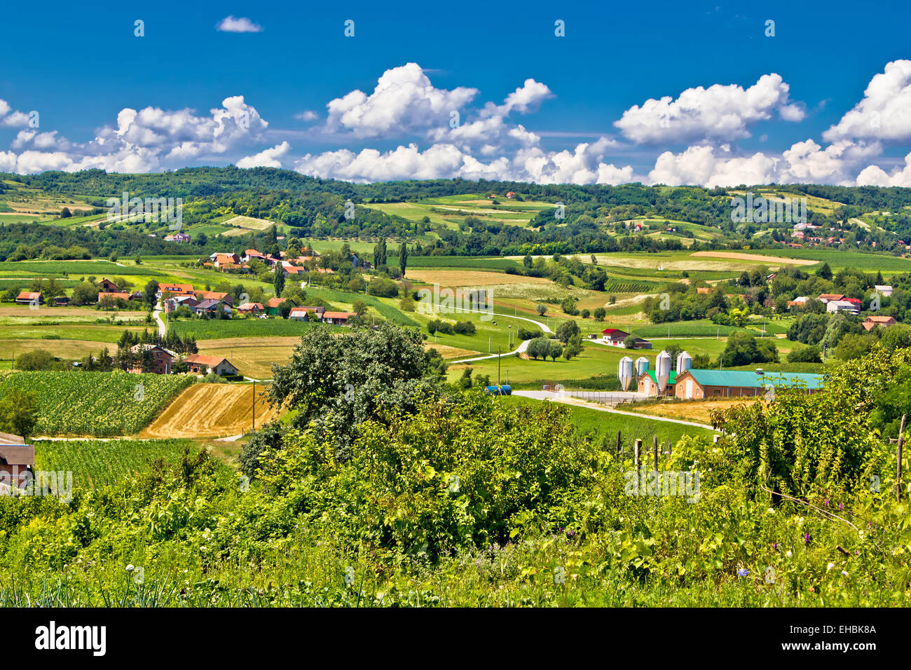 Countryside farmland green scenery en Croatie Banque D'Images