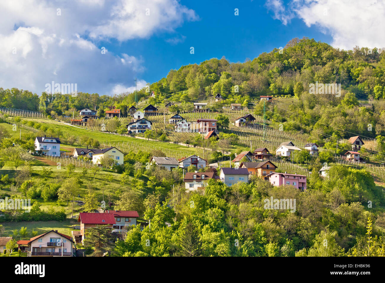 Zagorje hills vineyards and cottages Banque D'Images