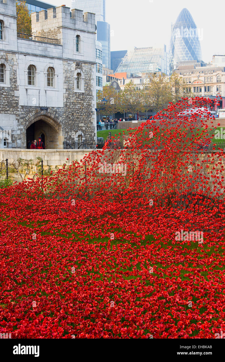 L'Angleterre, Londres, Tower Hamlets, Tour de Londres en céramique rouge coquelicot art installation par des artistes Paul Cummins et Tim Piper intitulé Blood a balayé les terres de mer de rouge dans les douves pour commémorer 100 ans depuis le début de la Première Guerre mondiale avec le nombre de coquelicots à la British morts. Banque D'Images