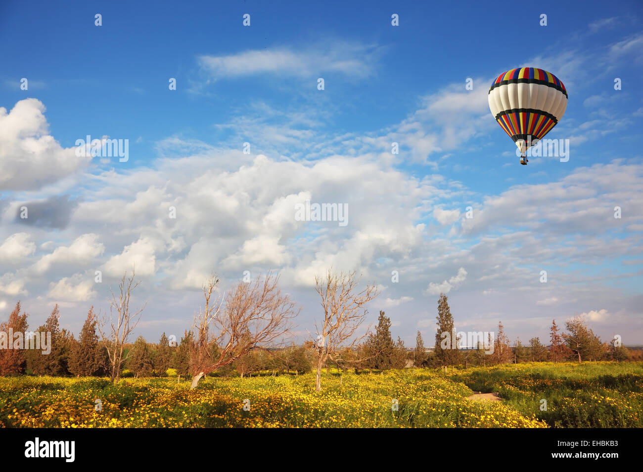 Un énorme ballon sur le champ en fleur Banque D'Images