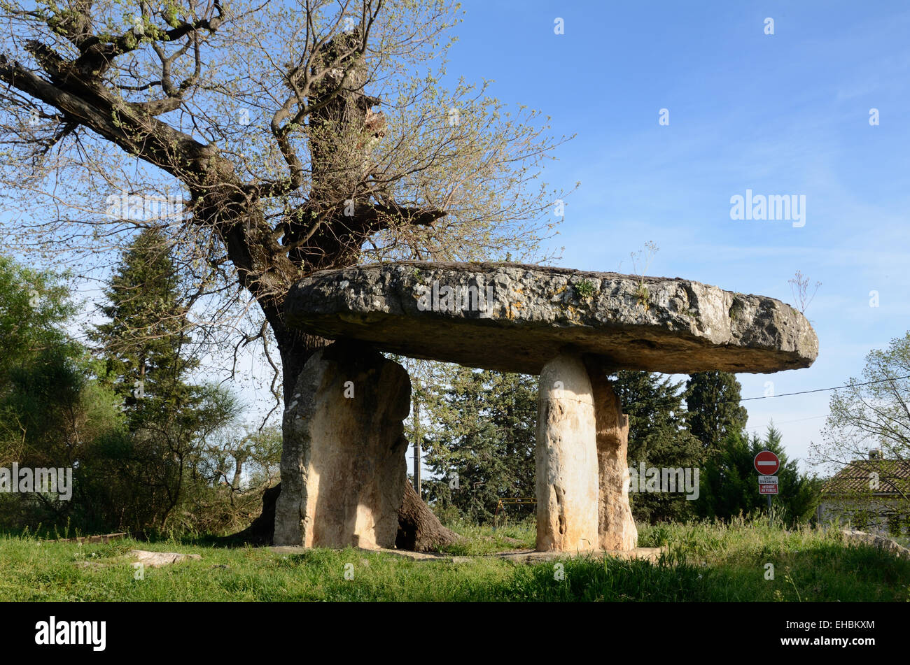 'La Pierre de la Fée" ou "La Pierre aux Fées' Dolmen Pierre préhistorique ou sépulture néolithique Draguignan Provence France Banque D'Images