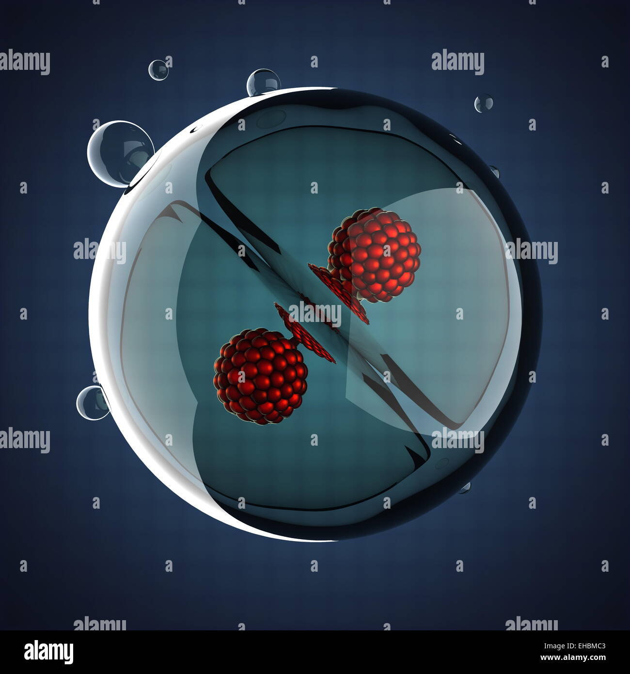 Un processus de division cellulaire micro Banque D'Images