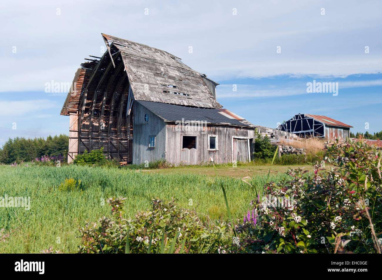 Ruines d'une vieille grange abandonnée, région de Kamouraska, province