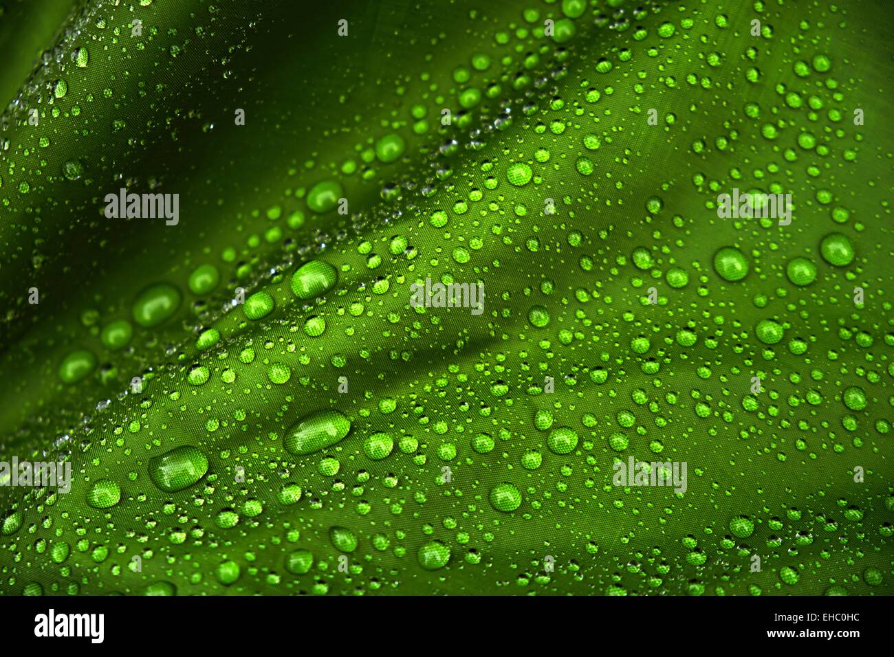 Les gouttelettes d'eau sur un fond de toile verte Banque D'Images