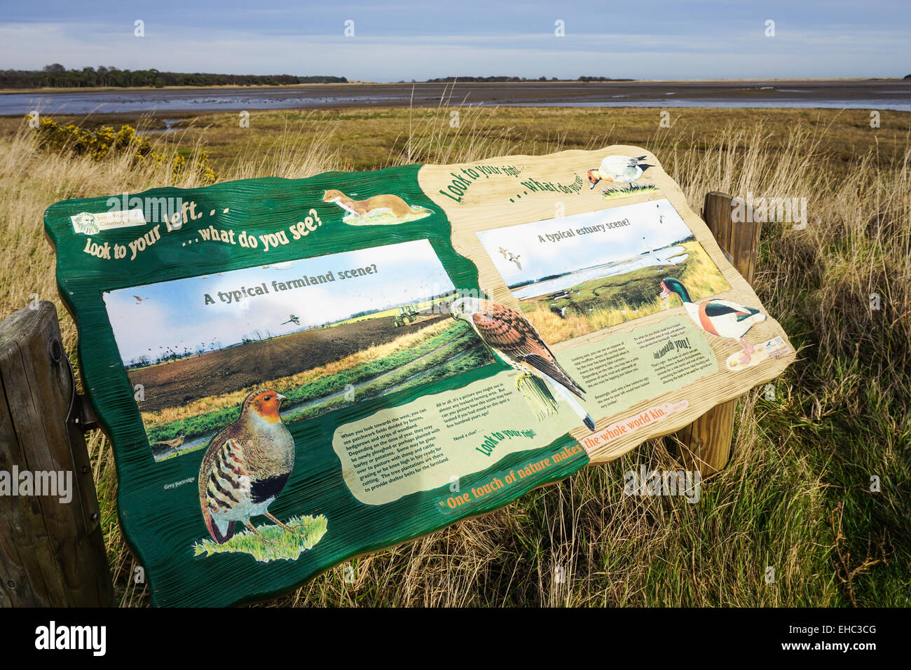 Information Board, Tyne Estuary, Nera Dunbar Banque D'Images