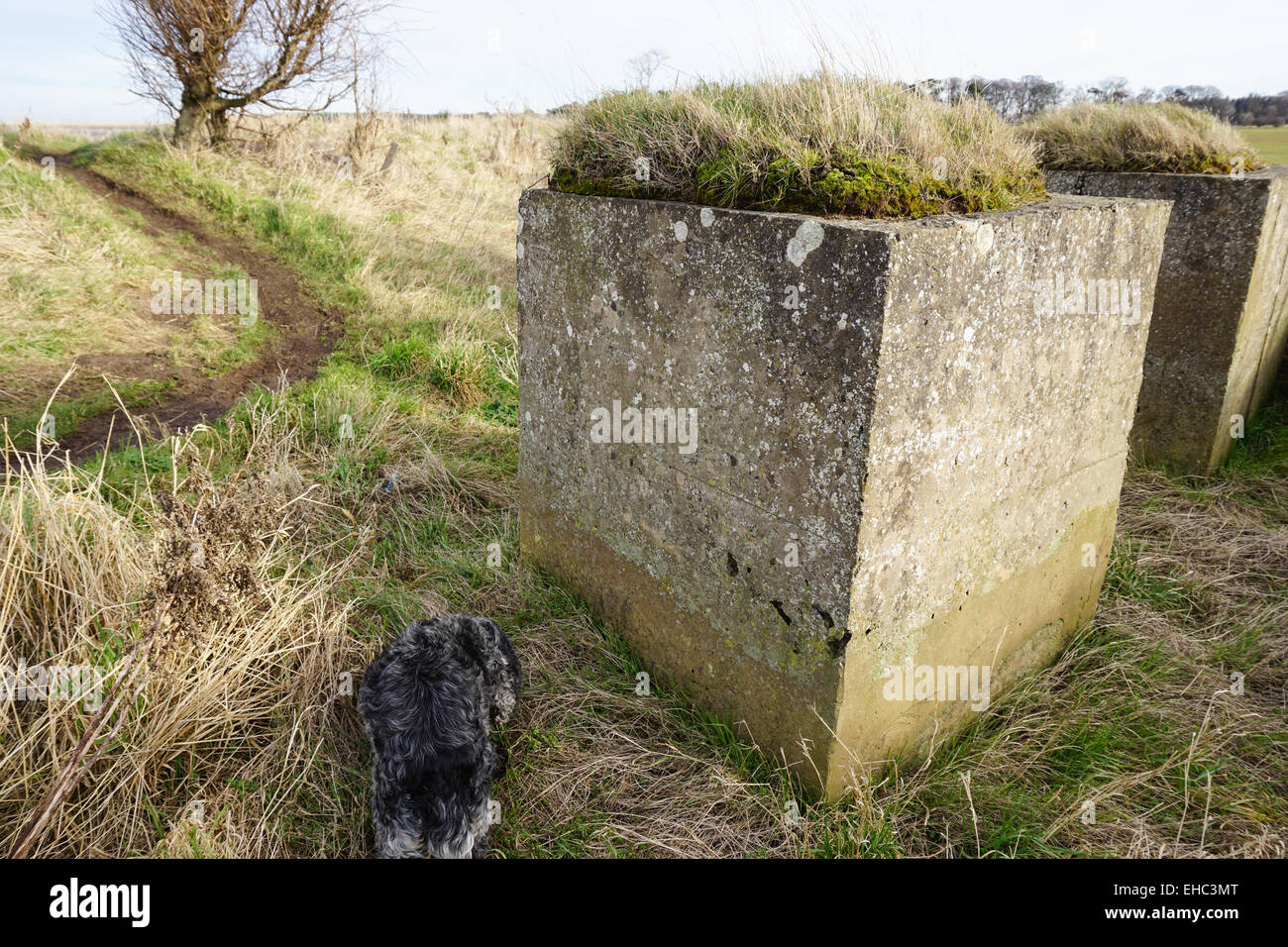 Les Pièges du réservoir, Belhaven Bay, Dunbar Banque D'Images