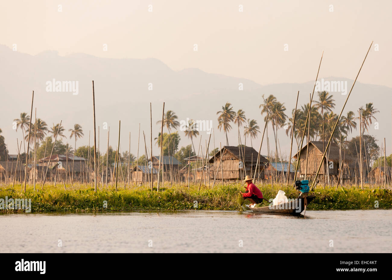 Un pêcheur dans un paysage du lac Inle, lac Inle, Myanmar ( Birmanie ), l'Asie Banque D'Images