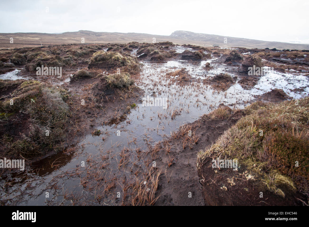 Bogholes sur bogland Banque D'Images